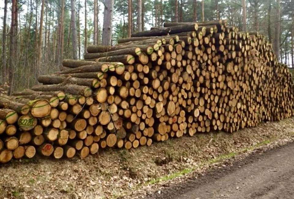 Grumes de chêne séchées à l’air · certifiées PEFC · chargement complet 60 m³ · 2 à 10 m