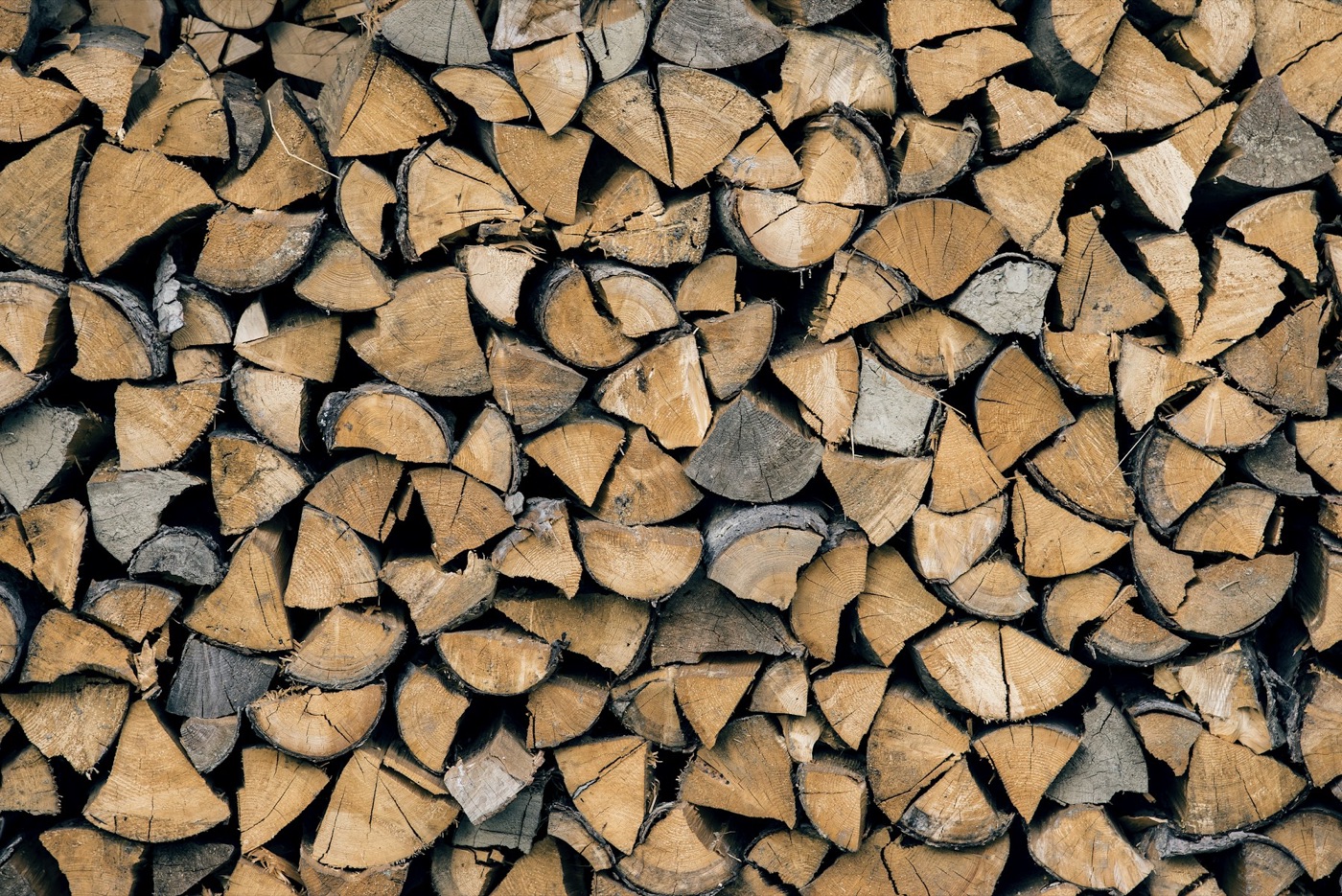 Eschen-Brennholz 30 cm · 1 RM · kammergetrocknet